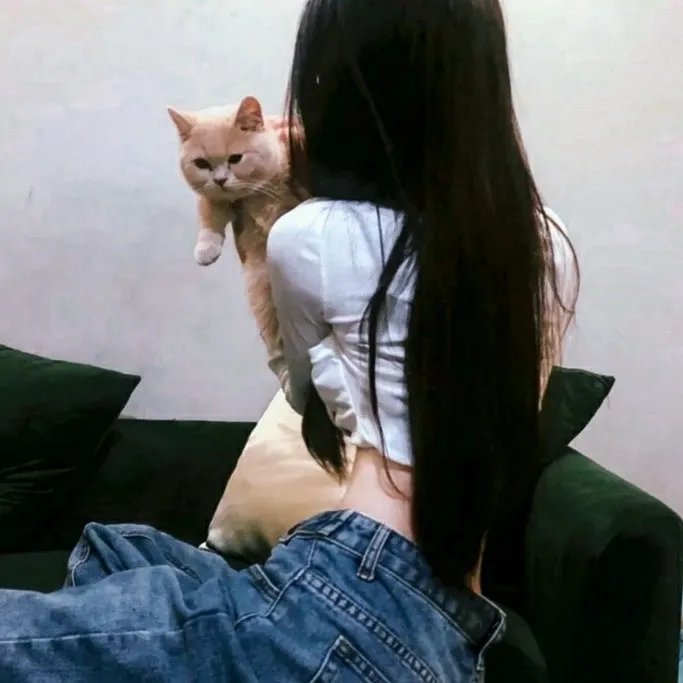 帕金顿夫人 在线观看